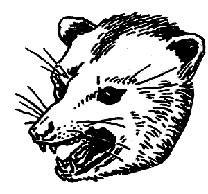 _images/opossum-readme.png
